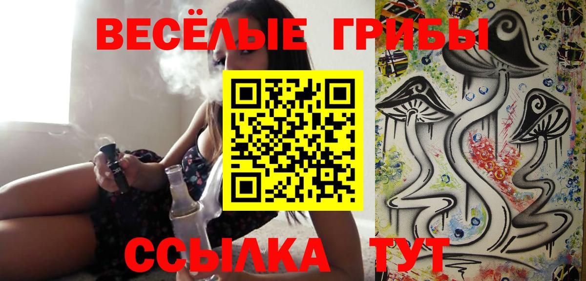 Псилоцибиновые грибы GOLDEN TEACHER  Вход с VPN  Ярославль  Галлюциногенные грибы MAGIC MUSHROOMS 